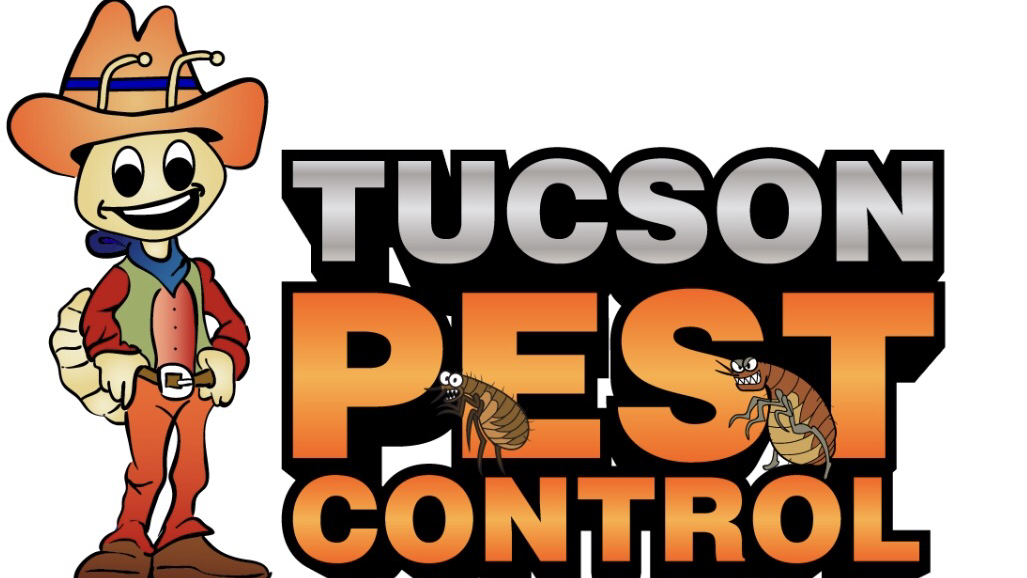 Tucson Pest Control project